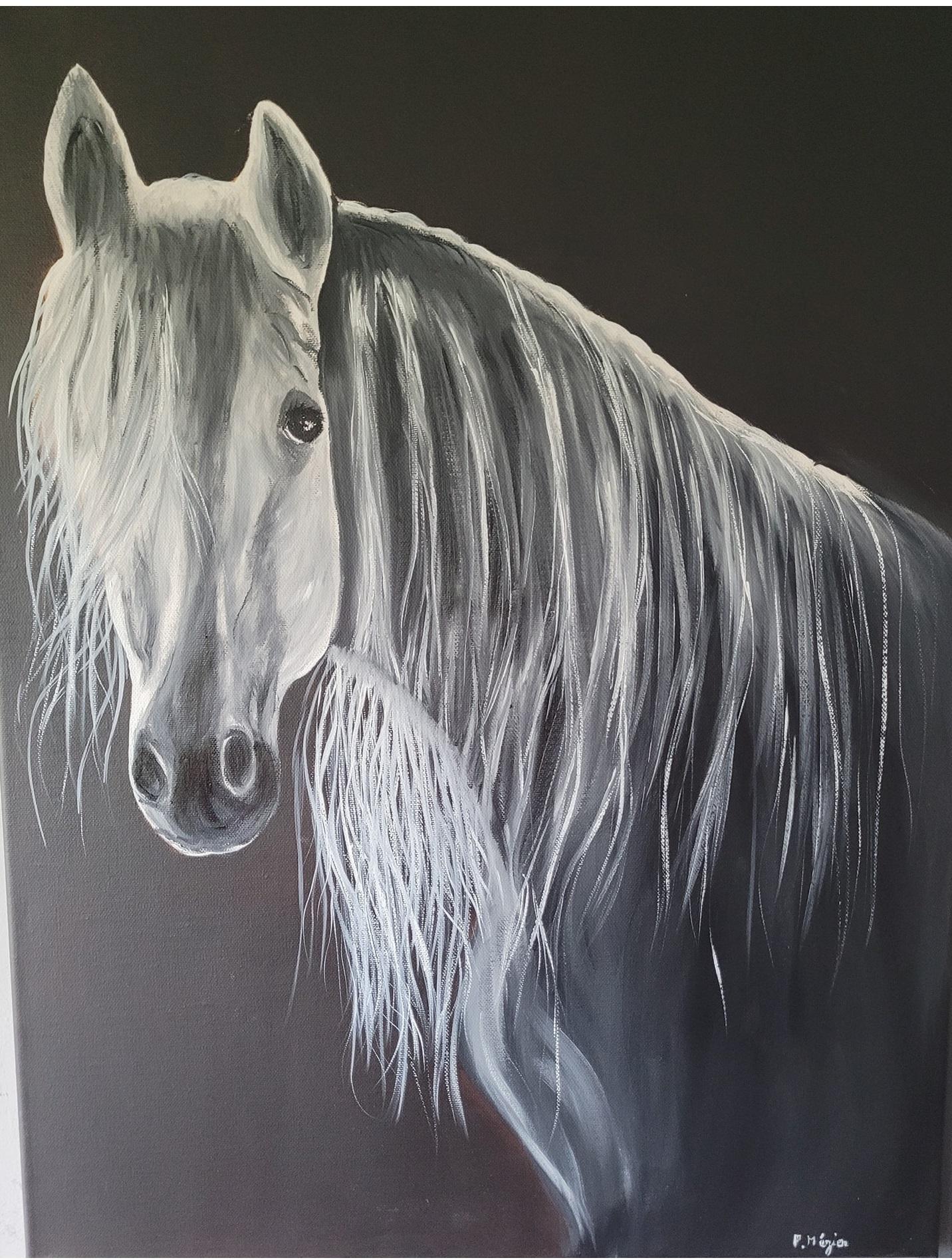 Black beauty 1